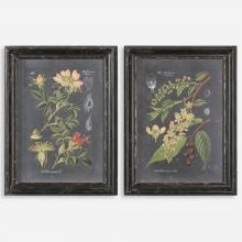 Uttermost 56053 - Midnight Botanicals Wall Art S/2