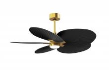 Matthews Fan Company AKTPLK-BRBR-BK - Alessandra Tropical 5-blade ceiling fan in Brushed Brass and Matte Black blades.