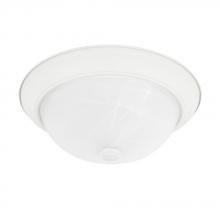 Capital 219022MW - 2 Light Flush Mount