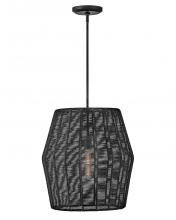 Hinkley 40387BLK - Large Convertible Pendant